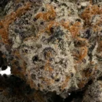 Hippy Crasher - Image 3