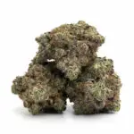 Rainbow Kush Mints - Image 2