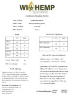 Elevated Soul CBD Tincture - Image 13