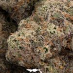 Alice In Wonderland AAA+ - Image 2