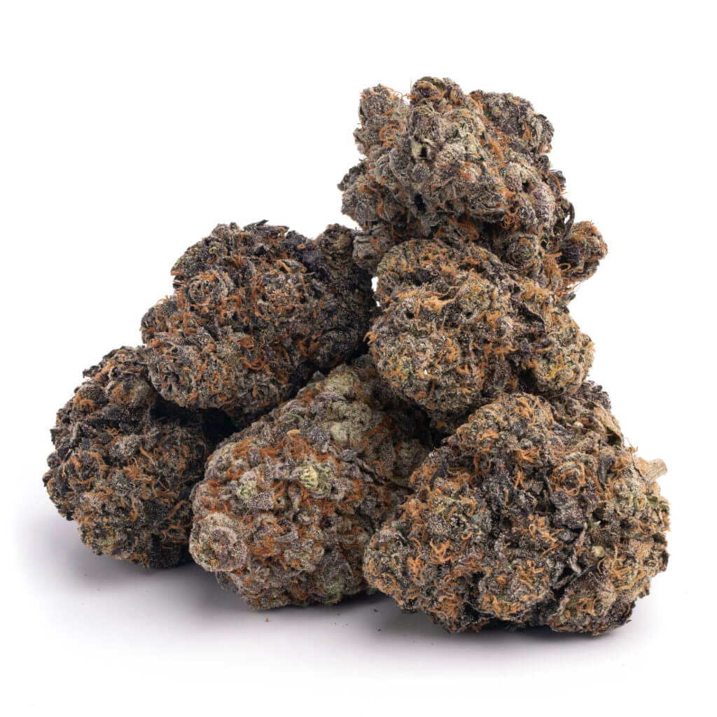 Animal Sherbert Strain Animal Sherbert