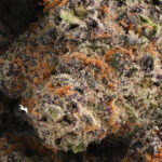 Park Fire OG AAA+ - Image 4