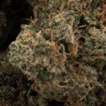 Granddaddy Pluto - Image 3