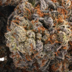 Funky Charms AA+ - Image 2