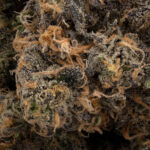 Royal Runtz AA+ - Image 2