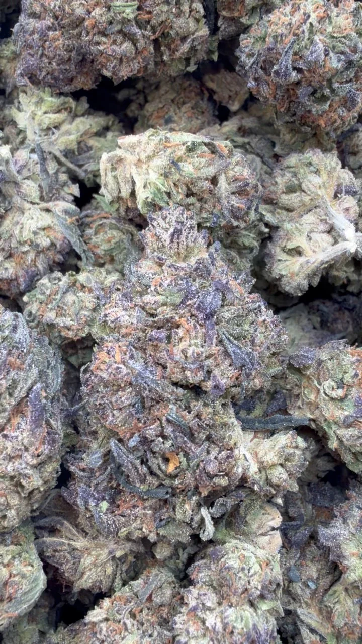 Cereal Milk - Bulk - Hybrid Cereal Milk - Hybrid - Wholesale - Image 1