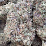 Permanent Marker - Wholesale - Hybrid