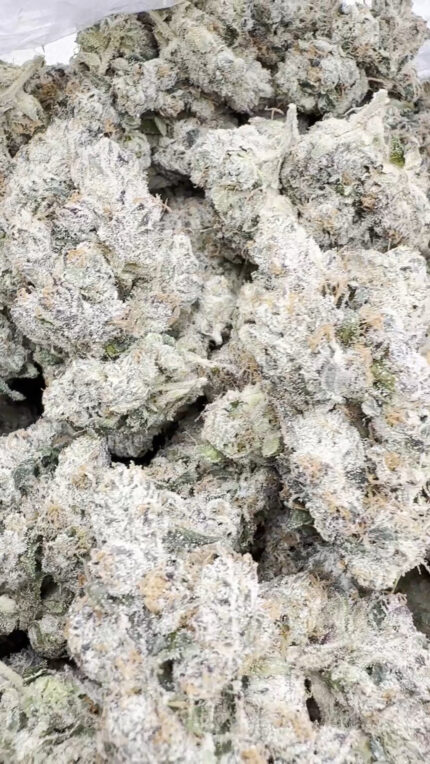 Black Magic - Indica