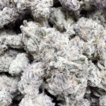 Don Murfos LCG - Hybrid