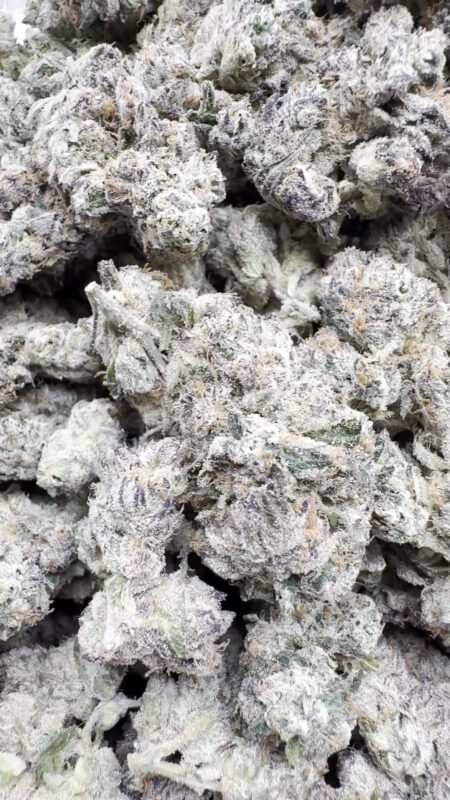 Don Murfos LCG - Hybrid