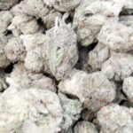 Facetz Mediums - Indica