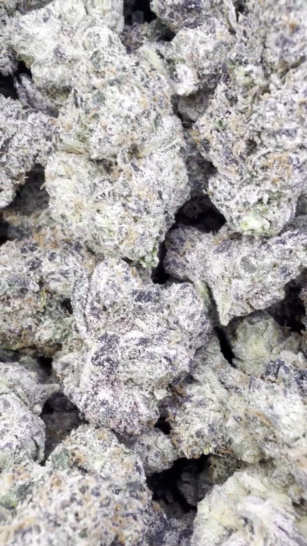 White Zkittlez